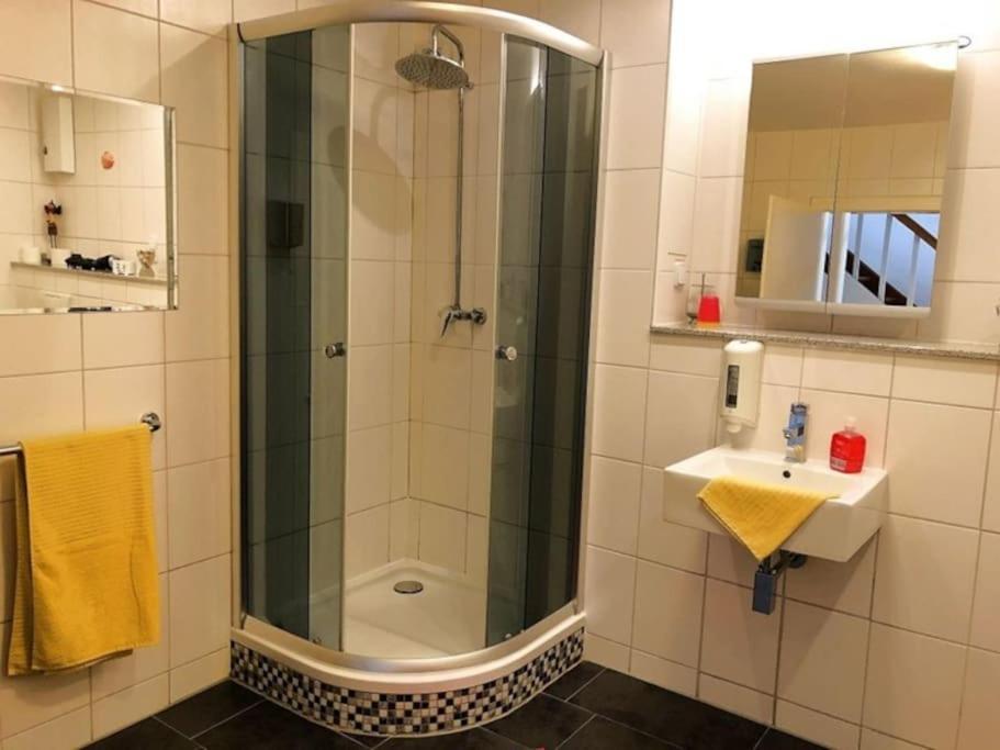 צל אן דר מוזל Ferienhaus Schwanennest מראה חיצוני תמונה